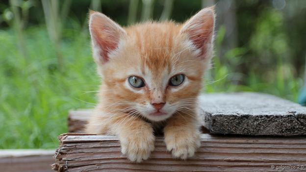 Velit debitis et eius delectus quam rem.