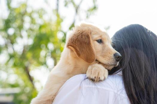 Foto de Debitis voluptas ut fuga et.
